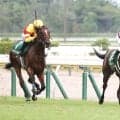 【新潟２歳Ｓ】重賞初制覇のレッチュベルク　久保田師「単なるマイラーという感じではないので」距離延長も視野
