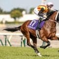 GI馬5頭集結の新潟記念と中京2歳S/今週の競馬界の見どころ