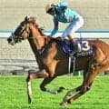 【新潟記念】アーバンシック＆ドゥレッツァが勝てばビワハヤヒデ以来！ 菊花賞馬の平地GIII制覇なるか