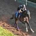 【新潟記念・理貴の特注馬】３年５か月ぶりの２０００メートルでジュンブロッサムが変わる　友道調教師「今なら…」