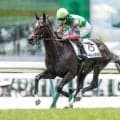 【中京2歳S見どころ】圧巻のデビュー戦だったジーティーマイカ