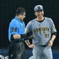 【阪神】交錯の高橋遥人は「状態も回復していた。問題ないかなと」藤川監督／一問一答