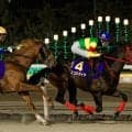 【先週のJRA抹消馬】24年ブルーバードCで2着のエコロガイア、桜花賞馬の仔エンジェルブリーズなど