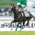 【中京2歳S想定騎手】ジーティーマイカは松山弘平騎手、シスキンブルームは団野大成騎手
