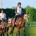 【新潟記念】３歳マイル王のロデオドライブが初の２０００メートルで古馬へ挑む　辻調教師「今後の可能性を広げるうえで…」