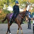 【新潟記念】２４年菊花賞馬のアーバンシックは三浦皇成騎手と熱心なコンタクト　「この馬らしさが出てきました」