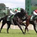 「激アツ」「馬券むずいな」「もうＧ１」登録１１頭中Ｇ１馬５頭の新潟記念　１１頭以下の出走は過去３０年で３度だけ