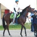 【中京２歳Ｓ】ビスケットサンドが重賞でもおいしいぞ　陣営「理想１週前の追い切りができました」着実に良化中