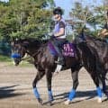 【新潟記念】ジャパンＣを出走取消　２３年の菊花賞馬ドゥレッツァが約１１か月ぶりの実戦へ　尾関調教師は「まだ休み明けという感じですが…」