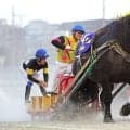 岩田康誠騎手がばんえい競馬で圧勝…　あれ！？追っていたのは本業の騎手で…　ＪＲＡジョッキーＤＡＹ２０２６