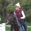 【新潟記念】Ｇ１馬に挑むダノンシーマは初の舞台がカギ　陣営「新潟にうまく対応できれば」