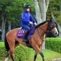 【新潟記念】２４年牝馬２冠のチェルヴィニアは秋華賞以来の２０００メートルできっかけを　陣営「かなり舞台設定は向く」