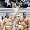 安青錦　秋場所へマイペース調整　負傷左足に配慮「焦らないように」　師匠の母の手料理で英気養う「ナスの漬物がおいしかった」