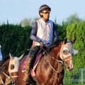 【新潟記念】Ｇ１馬５頭集結！　３歳マイル王・ロデオドライブが初二千も初古馬対決も別定５７キロも乗り越える