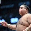 高安、夏巡業を離脱　２４日の稽古中に左脚を負傷