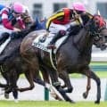 【中京2歳S】現役最多のJRA2歳重賞15勝 須貝尚介調教師がサンタンジェロで一発狙う