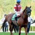 【注目馬動向】キーンランドＣ３着の９歳馬ウインカーネリアンはスプリンターズＳで連覇狙う　鹿戸調教師「問題なければ」