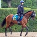 【注目馬動向】新潟２歳Ｓ２着のトウシンマジック　年内の大目標は朝日杯ＦＳ　秋本調教師「レース後は問題ないです」
