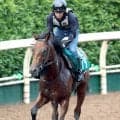 【中京２歳Ｓ】マル・マル・モリ・モリ！マルモリムソウが連勝で重賞初Ｖへ　大橋調教師「メンバー的にもチャンス」