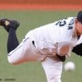 都市対抗野球、注目選手紹介：社会人野球で輝く元プロ野球選手たち