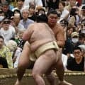 横綱大の里が８勝４敗…豪ノ山、平戸海と計12番「しっかり稽古する」秋場所へ調整