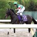 【注目馬動向】安田記念２着同着のワールズエンドはスプリンターズＳへ