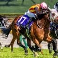 【新潟記念】レース史上初のGI馬の勝利なるか 大物5頭が激突だ
