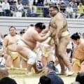 高安が左脚負傷で巡業から再び離脱、巡業部長は休場に理解【大相撲】
