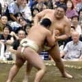 流山南高出身の阿炎、流山巡業で凱旋に大きな歓声「知ってもらえるだけでうれしい」