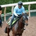 【中京２歳Ｓ】絶好調の父の勢いに乗る！シスキンブルームが連勝へ　斉藤崇調教師「ひと回り大きくなった感じです」
