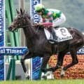 【中京2歳S予想オッズ】ジーティーマイカが予想1番人気