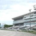 【金沢・イヌワシ賞結果】兵庫のダンテバローズが4連勝で重賞連勝を飾る