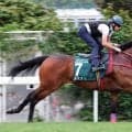 ロマンチックウォリアーが故障か　関節の詳細な検査が必要「詳細は追ってお知らせいたします」世界最高賞金獲得の香港馬