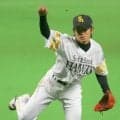 育成ドラフト入団から初の１軍出場者は？【プロ野球記録企画】