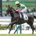 【中京2歳S展望】新馬戦圧勝のジーティーマイカが中心