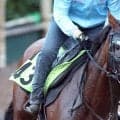 【中京２歳Ｓ】今が“旬”の父の勢いに乗ってシスキンブルームが連勝での初タイトル狙う