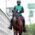 【注目馬動向】パンジャタワーは引き続き松山弘平騎手でスプリンターズＳへ　橋口調教師「武豊騎手にうまく乗られました」