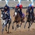 【新潟記念】２４年牝馬２冠のチェルヴィニアを復活へ導く　「さすがＧ１馬」津村明秀騎手が初コンタクト