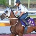 武豊騎手と凱旋門賞に挑むメイショウタバルが好時計マーク　来週の国内最終追い切りへ向け石橋調教師「思うとおり」
