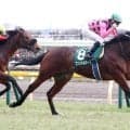 ２３年共同通信杯Ｖで皐月賞３着のファントムシーフが競走馬登録を抹消　今後は谷川牧場で種牡馬になる予定