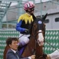 【セントウルS想定】ママコチャ、ファストネットワークなど14頭