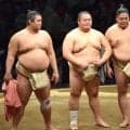 一山本「専業主婦になりたいです」友風、湘南乃海と夏巡業で爆笑質問コーナー　観衆から拍手も