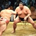 正代「皆さんの心に余裕ができた時に帰った方が」熊本地震まもなく１カ月、故郷思い秋場所へ集中