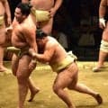 藤ノ川、首対策に自前枕持参を「検討します」　朝稽古最多17番、新三役濃厚の秋場所へ汗