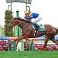 【注目馬動向】武豊騎手で重賞Ｖのサウンドモリアーナが激闘を終えて栗東へ　武英調教師「すごくうまく乗ってもらったにしても…」