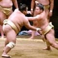 幕内・藤ノ川、気合の１７番　首痛軽減で夏巡業は連日申し合い稽古　秋場所は新三役濃厚「なおさら今は稽古したい」　高田川巡業部長が首強化アドバイスも