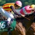 【新潟記念】ステレンボッシュが勝てばレッツゴードンキ以来！桜花賞馬のJRA・GIII制覇なるか