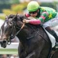 【中京2歳S】前川恭子調教師が重賞初制覇なるか デビュー戦圧勝のジーティーマイカで挑む