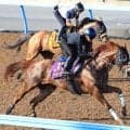 【新潟記念】２４年菊花賞馬が仕切り直しの一戦へ上昇気配　武井調教師「ワンターンは集中力が持続する」