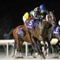 【船橋・フリオーソレジェンドC結果】リベイクフルシティが差し切って重賞3勝目を挙げる